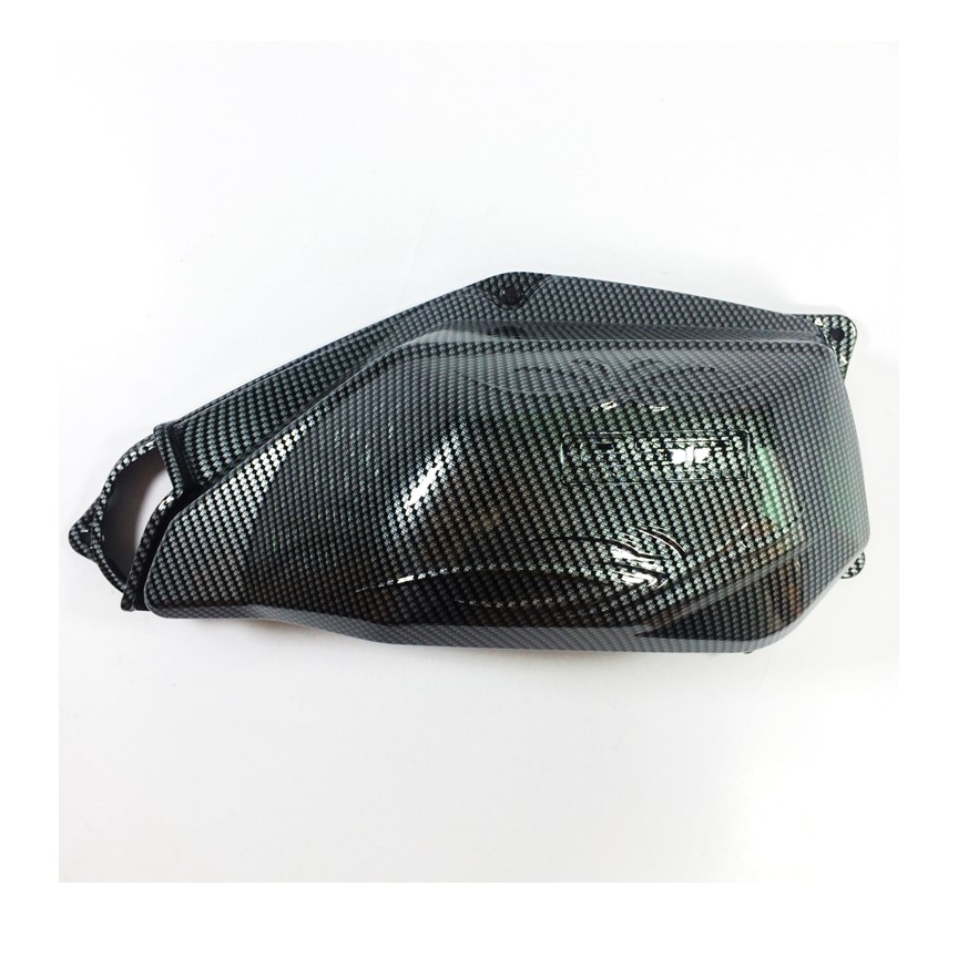 Ốp Pô E Carbon VARIO 2018