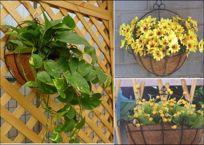 Chậu xơ dừa khung sắt đính tường trồng hoa cây cảnh khung sắt 25 cm đẹp mắt