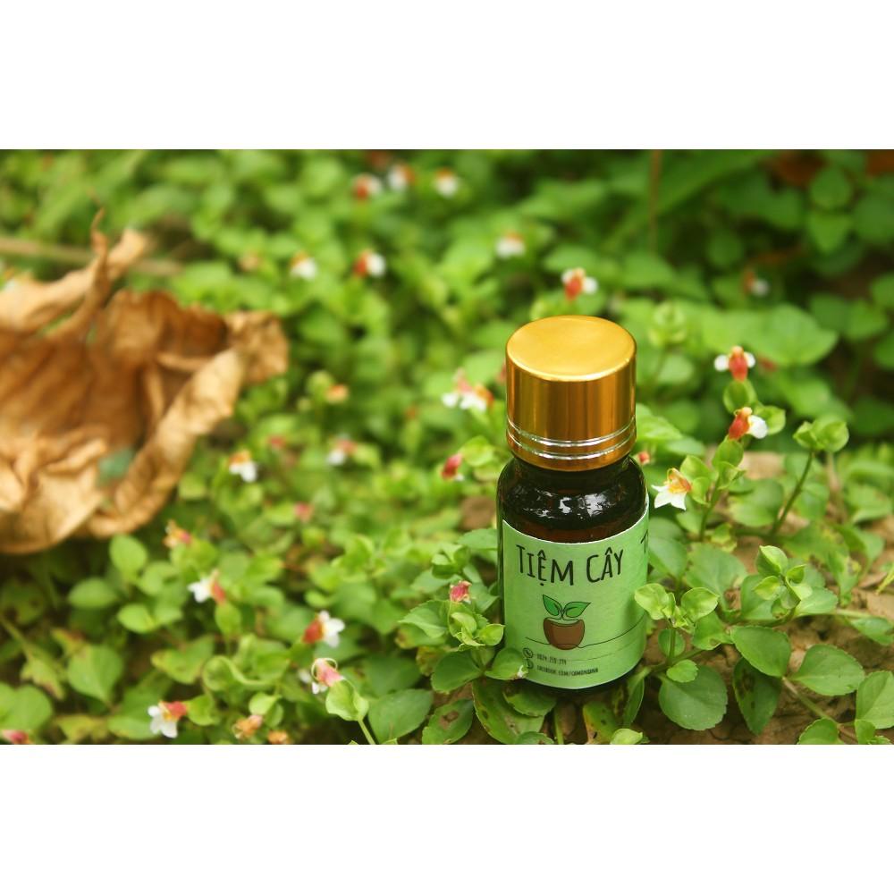 Tinh dầu Xá xị xông hương giảm căng thẳng- chai 10ml