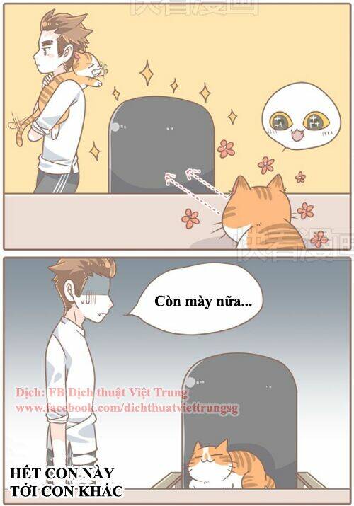 đại thánh và tiểu yêu chapter 30 2