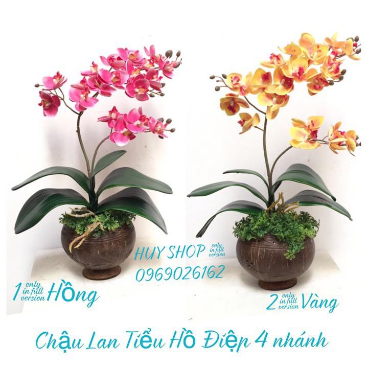 HOA LAN NHÂN TẠO - CHẬU GÁO DỪA HOA LAN TIỂU HỒ ĐIỆP 4 NHÁNH
