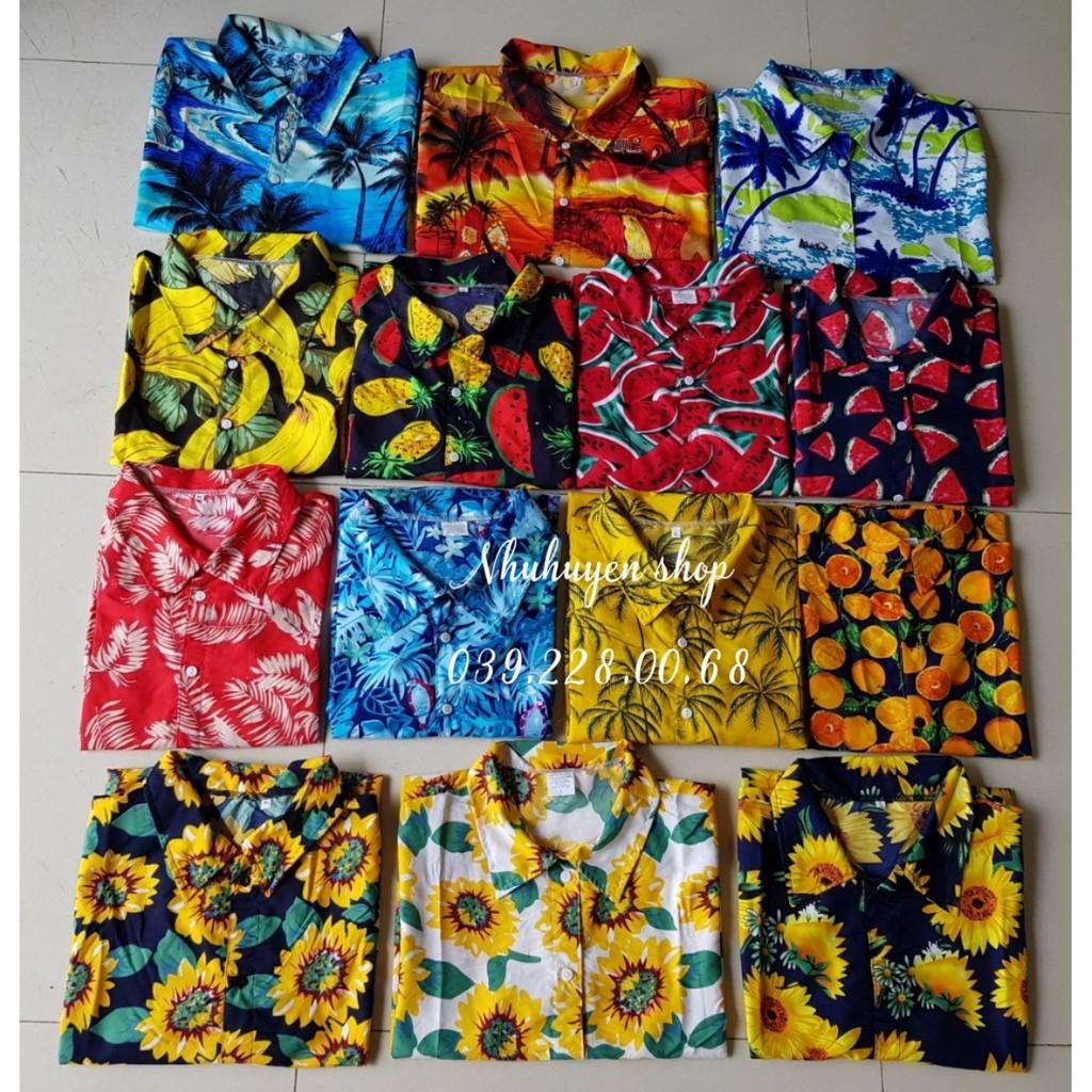 SET BỘ HOA HƯỚNG DƯƠNG NỀN TRẮNG THÁI