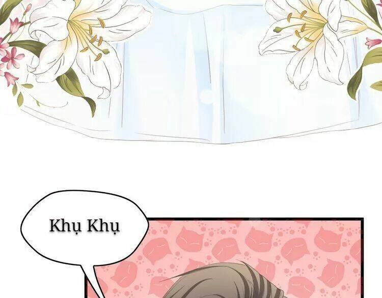 tổng tài đại nhân song mặt kiều thê chapter 18 69