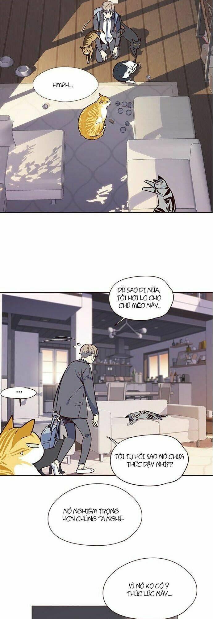 biến thân thành mèo chapter 7 52