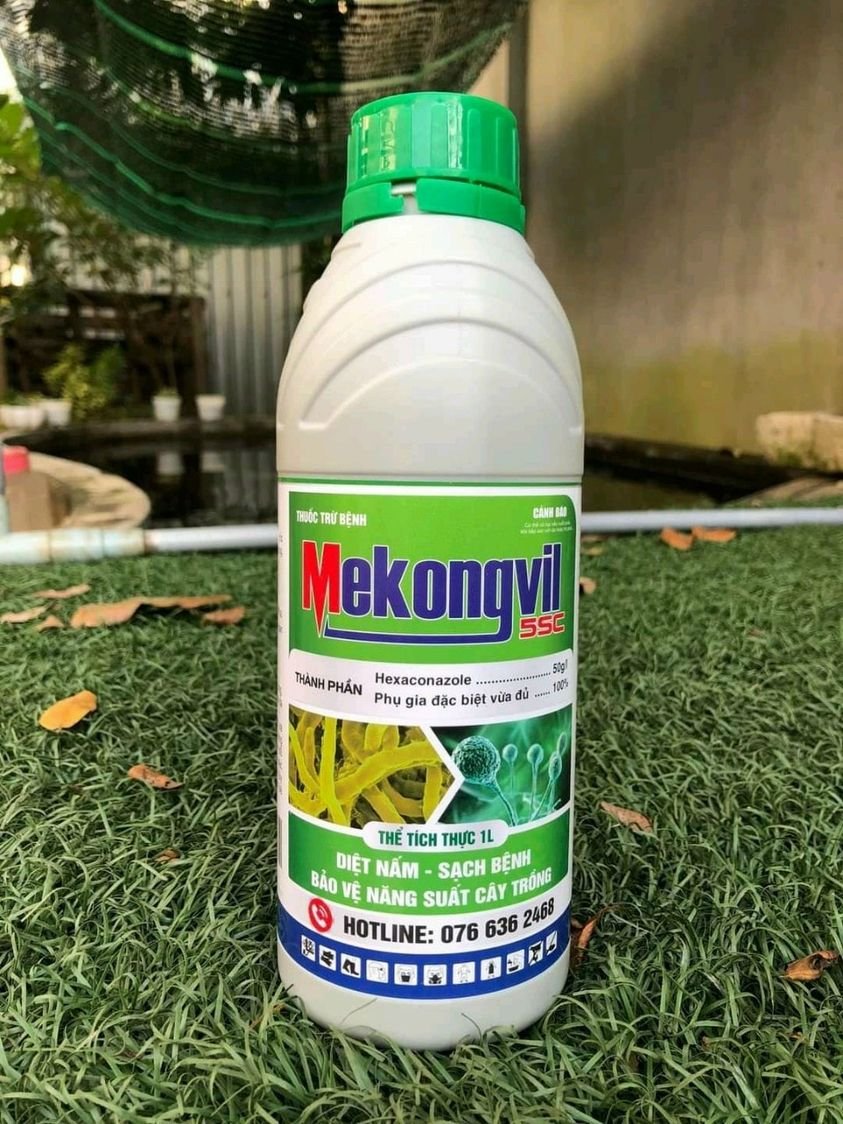 MEKONGVIL 5SC - Phòng trừ các bệnh do nấm, lem lép hạt, rỉ sắt, thán thư