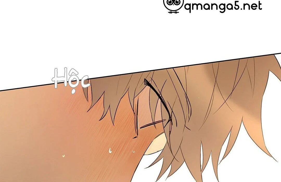 guide cấp b chapter 47 36