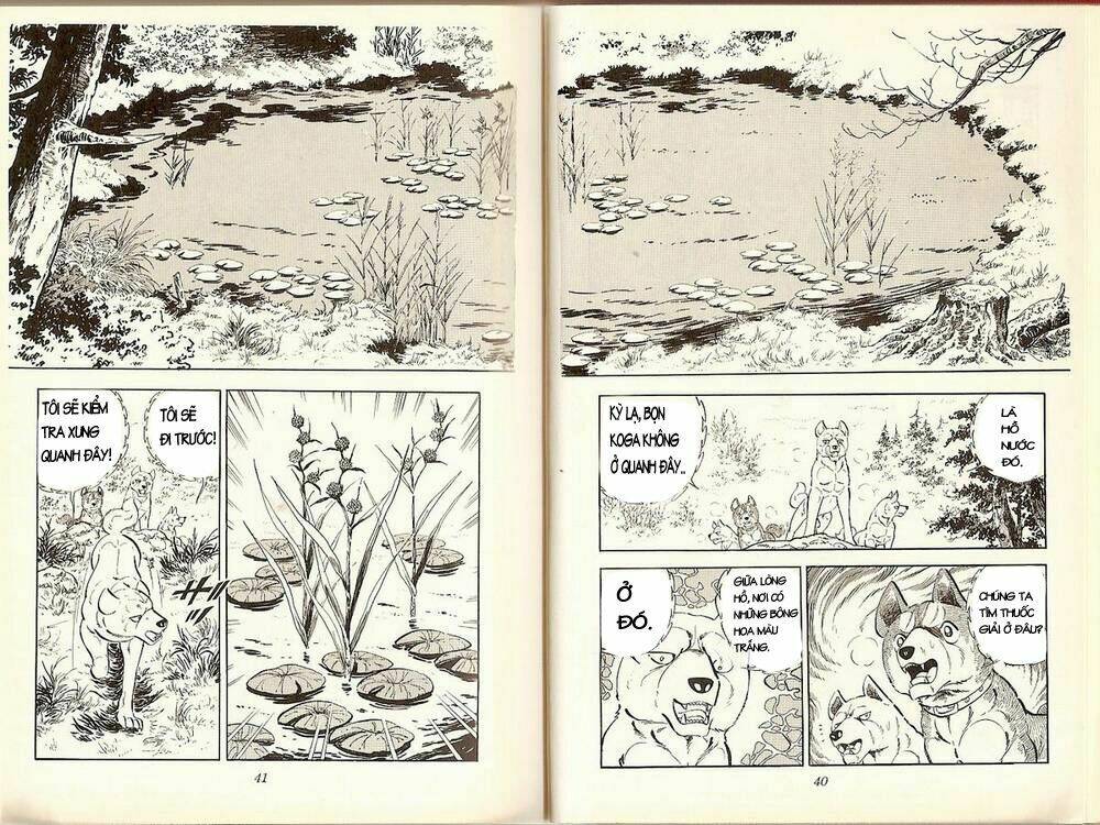 chú chó có nghĩa - ginga nagareboshi gin chapter 19 19