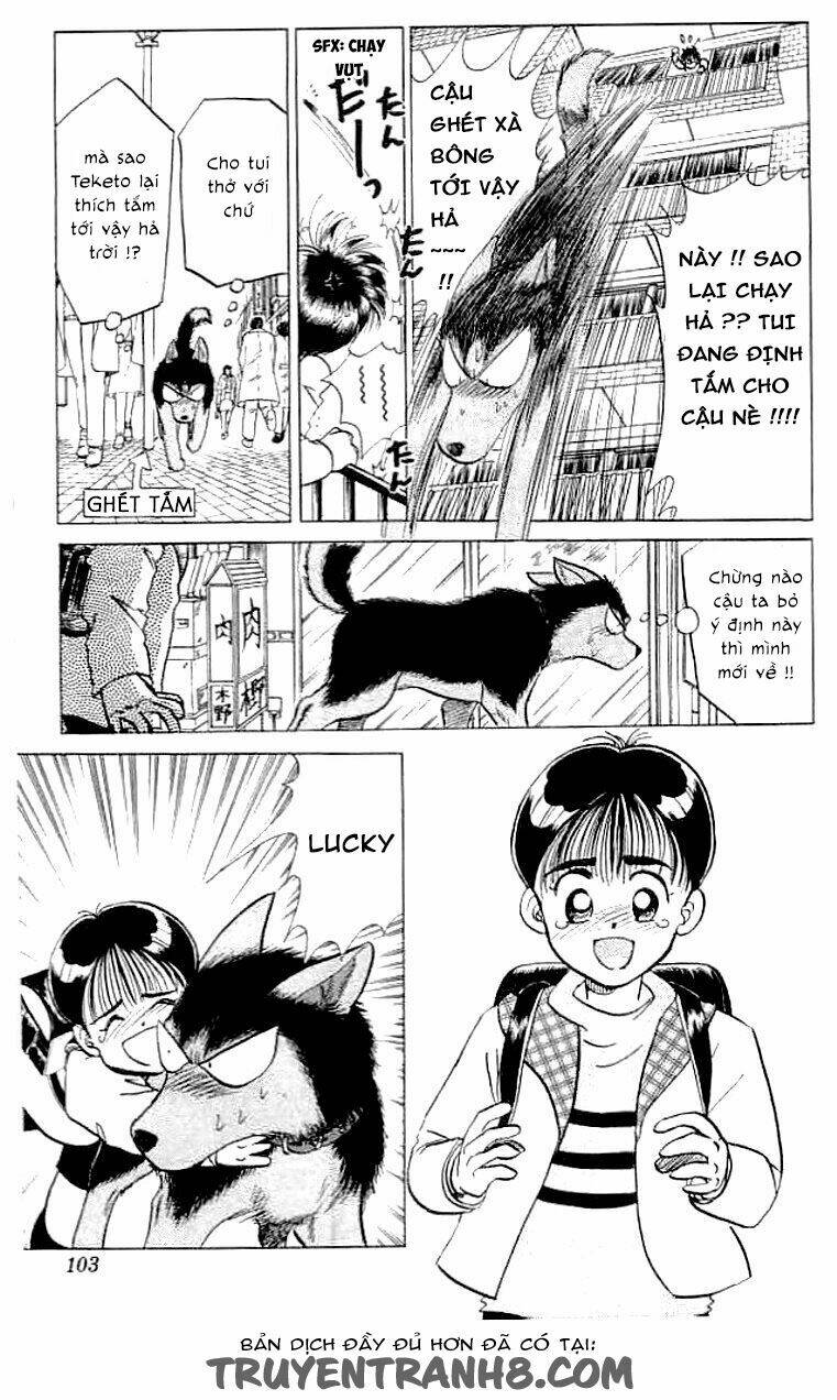 wild half chapter 4 5