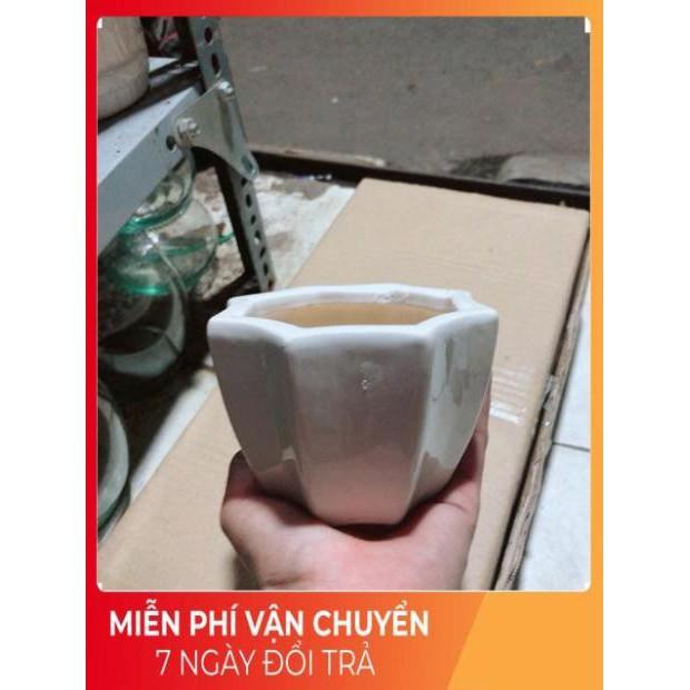 Nhất Mạt Hương kèm chậu sứ