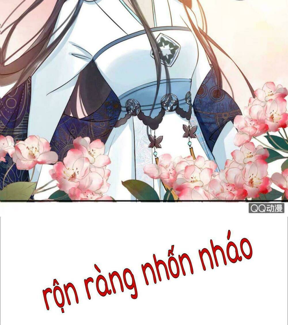 sủng phi của vương chapter 8 18