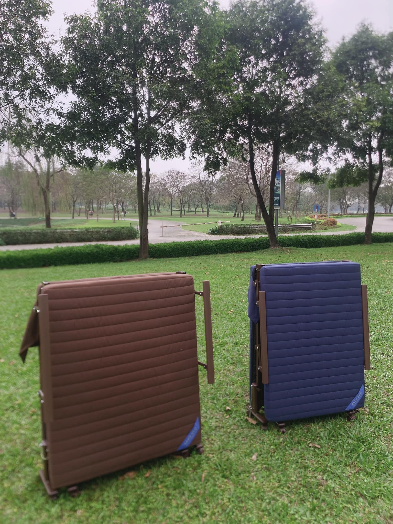 Giường gấp văn phòng Hàn Quốc