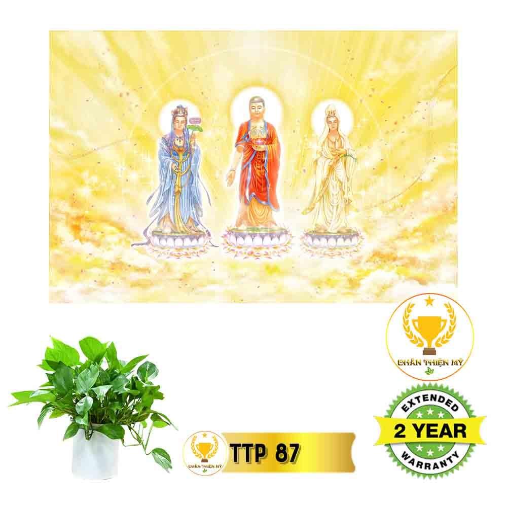 Tranh điện Tam Thế Phật_TTP9