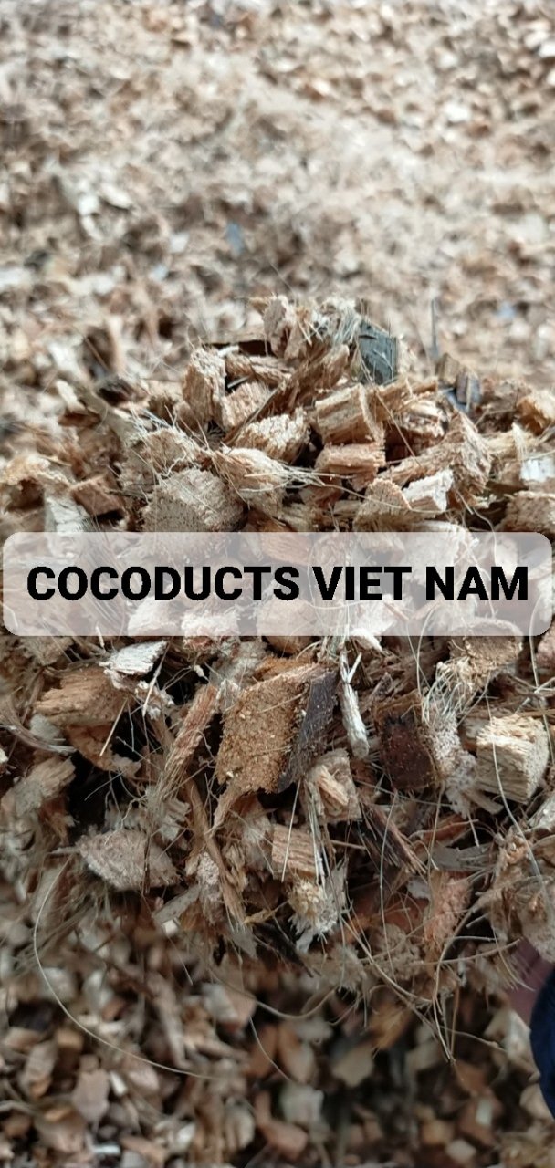 Mụn dừa ép thẻ