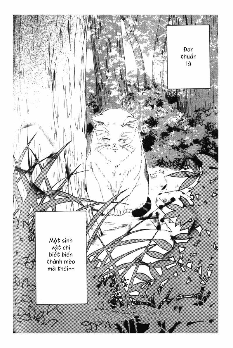 neko neko honey chapter 3 35