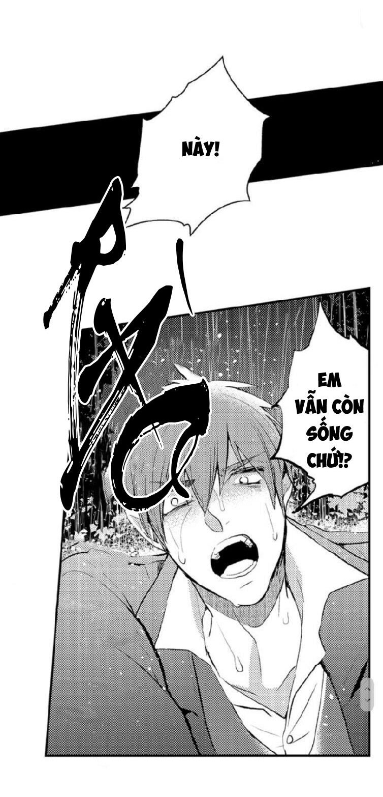 tiếng gọi của tình yêu sau trải nghiệm cận tử chapter 3 7