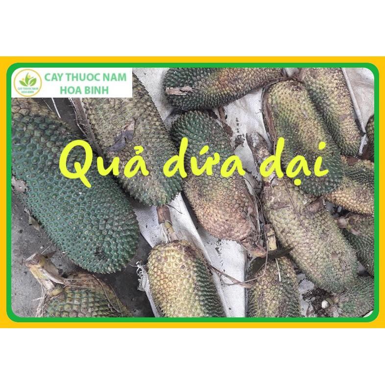 1kg quả dứa dại rừng chuẩn sạch, khô, nguyên chất