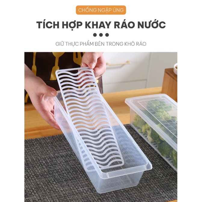 Hộp Nhựa Đựng Thực Phẩm Có Khay Ráo Nước, Trong Suốt Chất Liệu Nhựa PP An Toàn Vệ Sinh Thực Phẩm, Bảo Quản Lâu Hơn