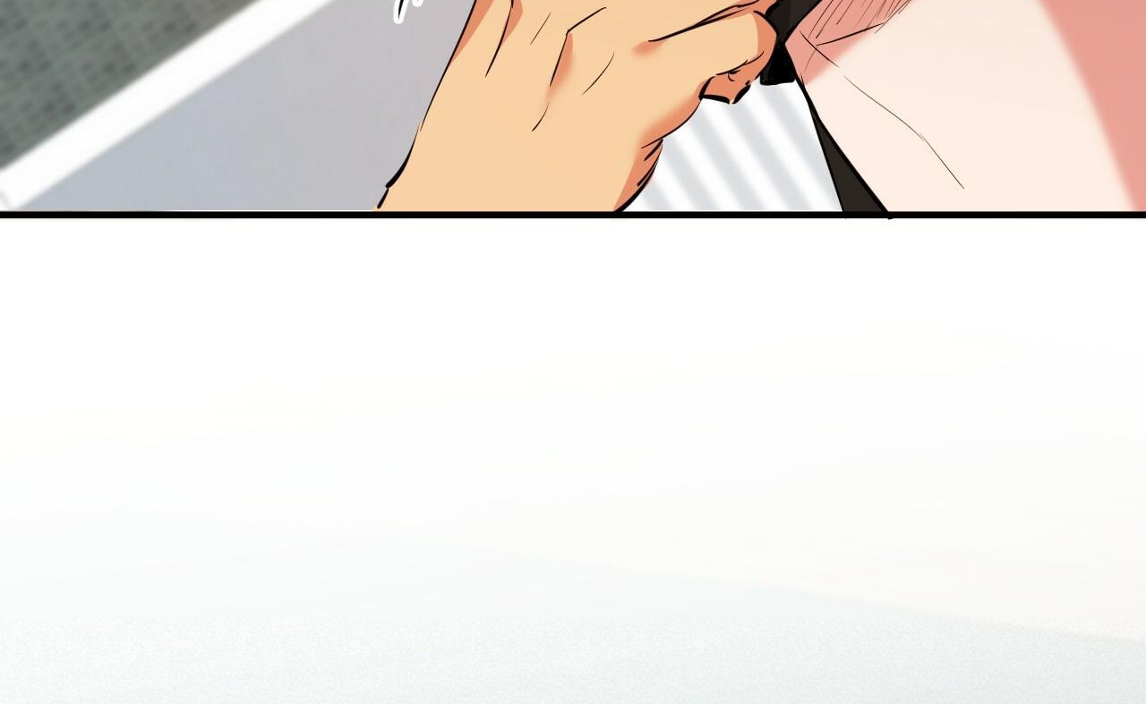 những chú thỏ của hapypy chapter 52 64