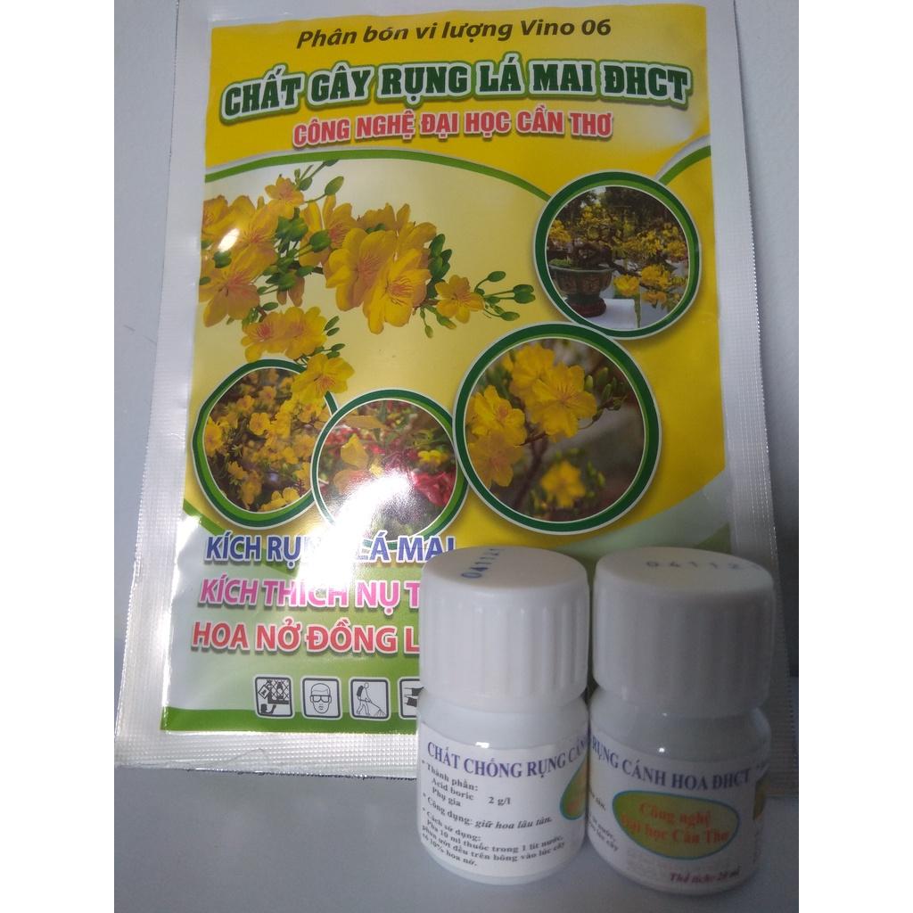 Combo dành cho hoa mai chơi tết ĐHCT