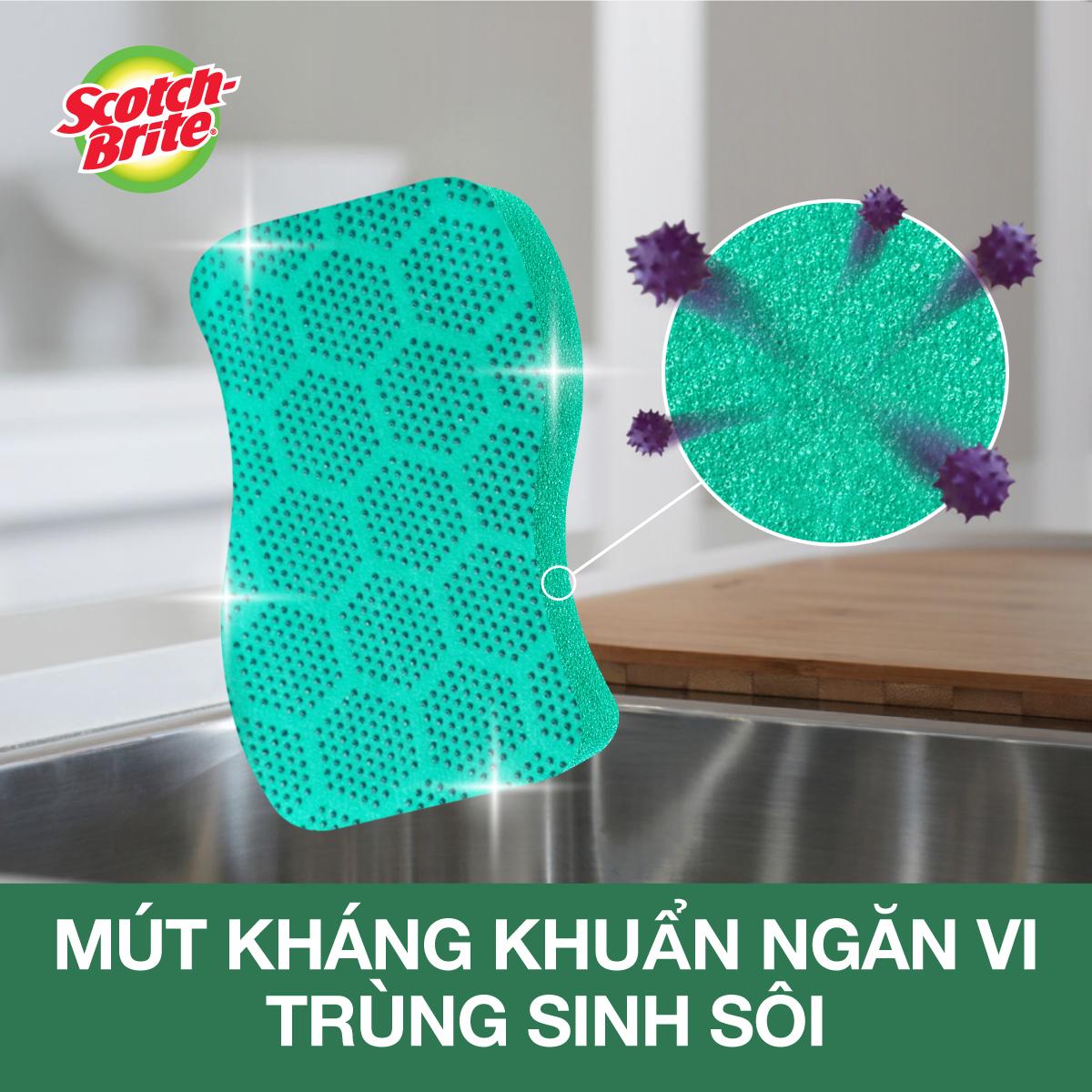 Miếng rửa chén hạt nổi siêu sạch Scotch-Brite 3M đa năng, mút hạt nổi kháng khuẩn, không bám cặn bẩn gây mùi, dễ vệ sinh