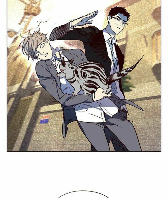 biến thân thành mèo chapter 11 114