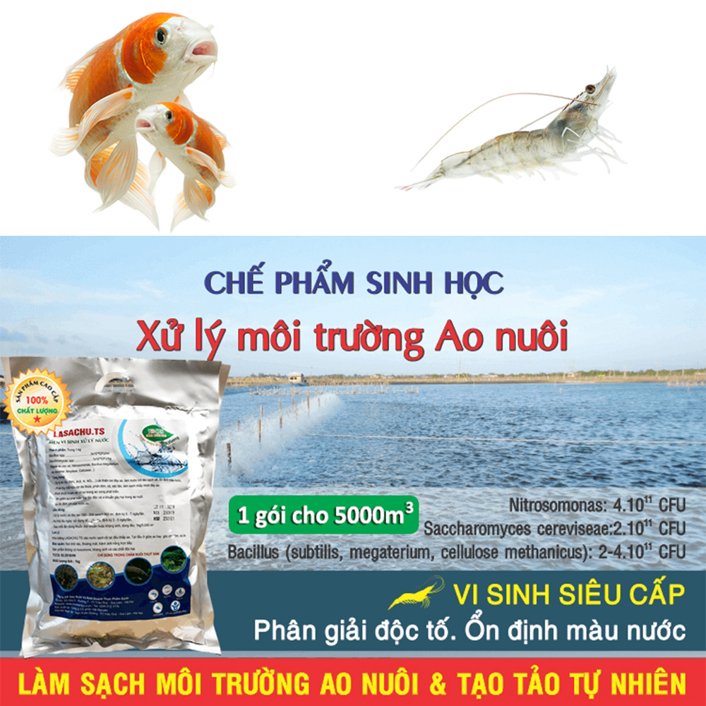 Combo 2 gói Vi sinh xử lý ao nuôi Tôm, Cá - LASACHU