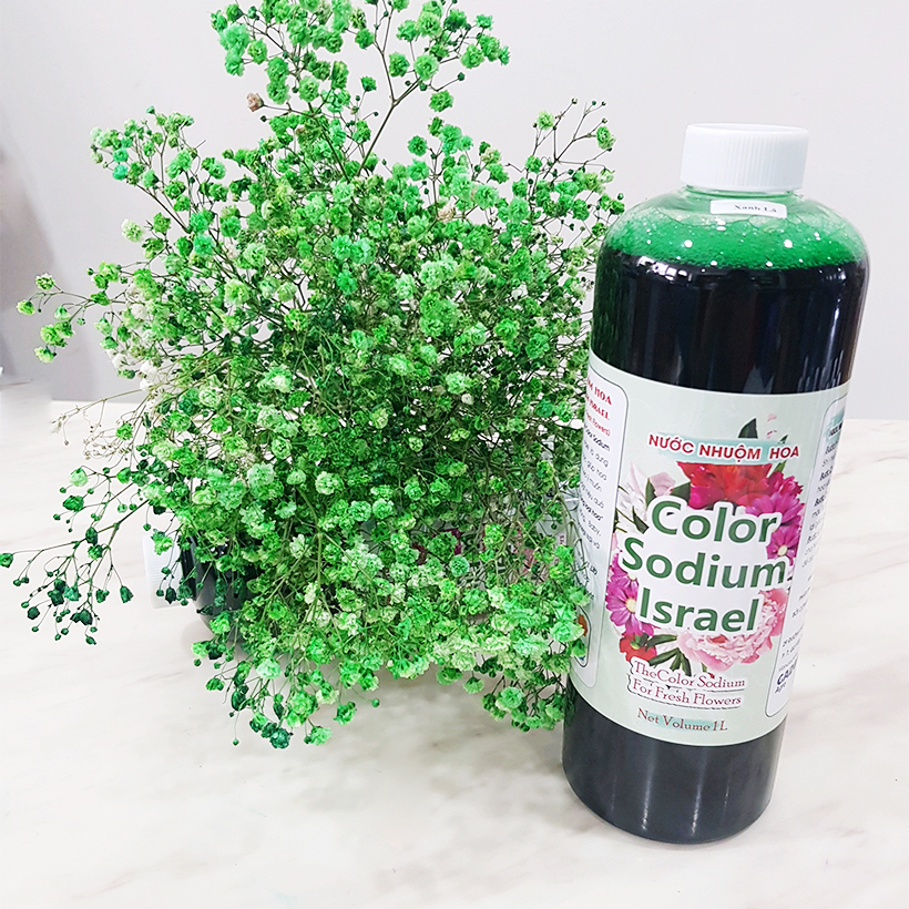 Dung Dịch Nhuộm Hoa Cắt Cành Đổi Màu theo Công Nghệ Israel giúp hoa nhuộm đổi màu theo ý muốn – The Color Sodium for Fresh Flowers