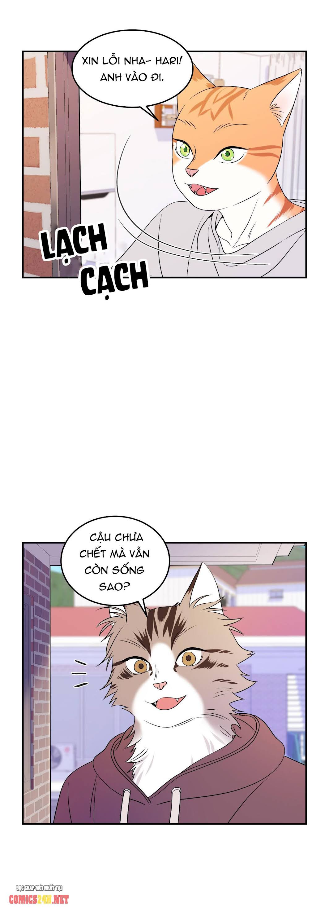 dự án xanh chapter 2 25