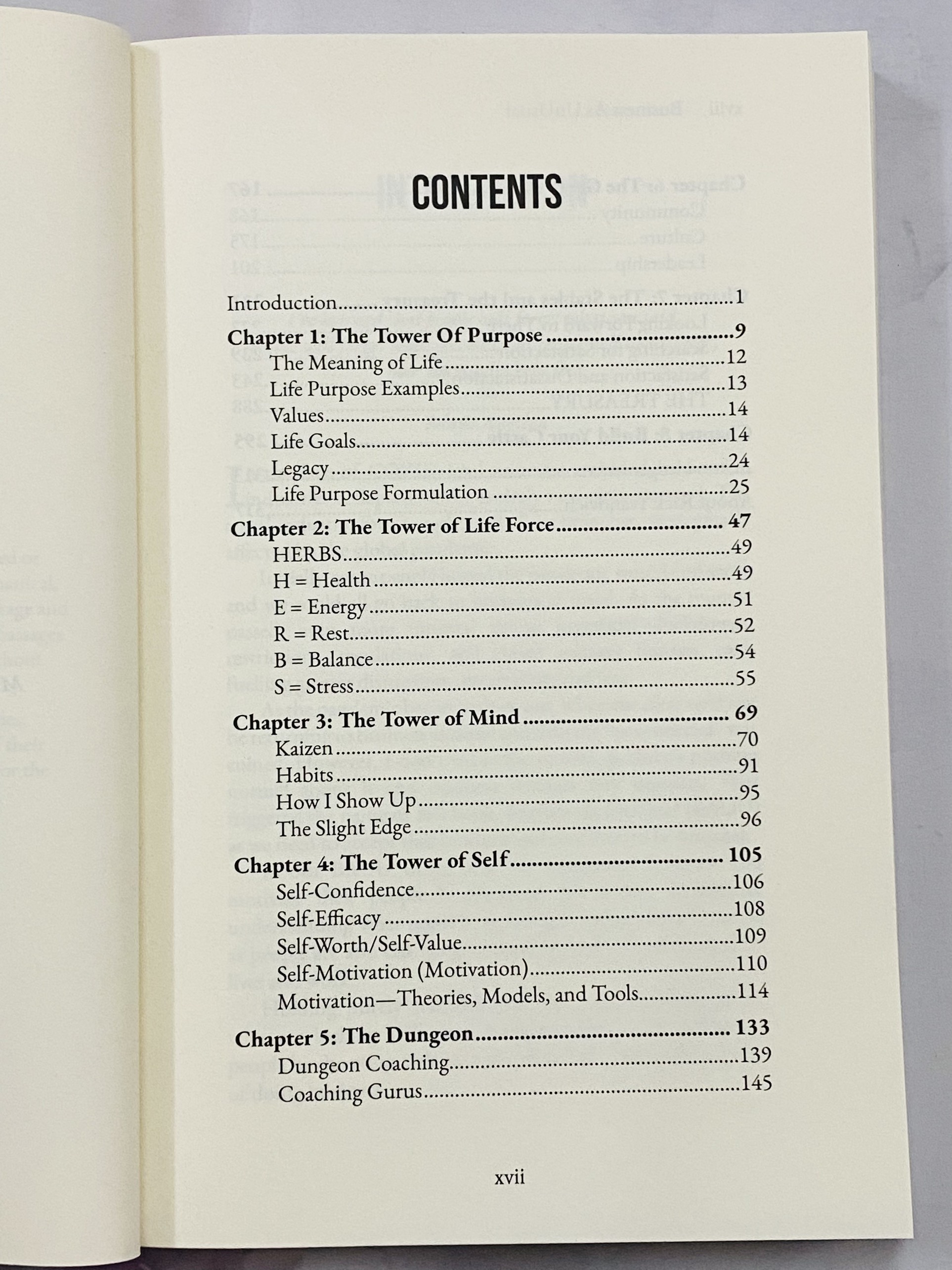 Business As Unusual - How To Thrive In The New Renaissance (Rick Yvanovich)