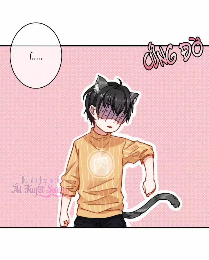 thập quang mật ngữ chapter 11 22