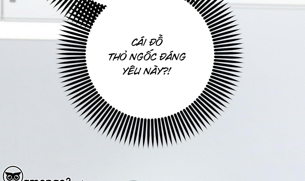 đàn thỏ của habibi chapter 51 207