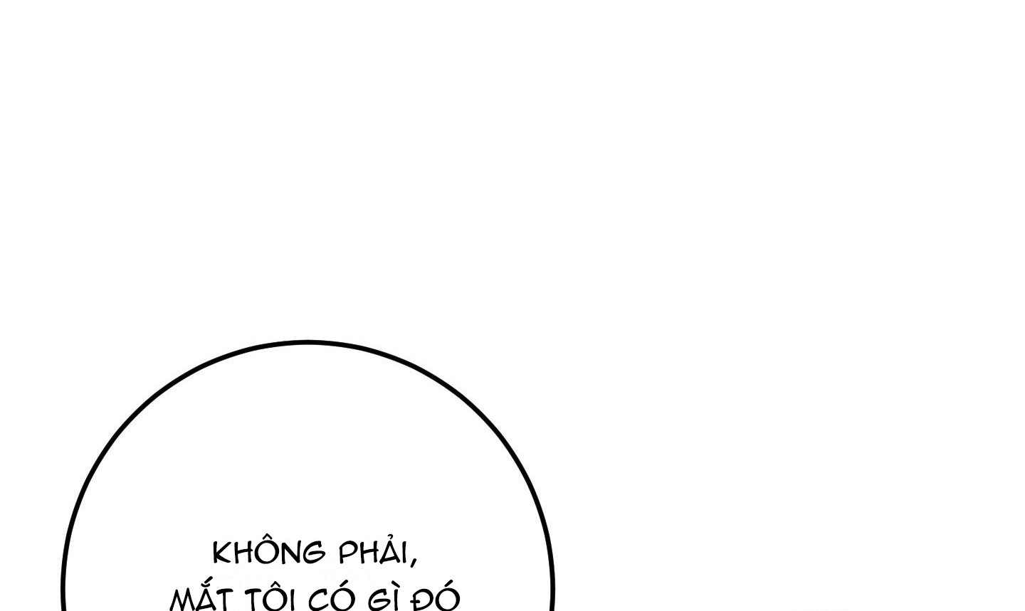 lãng mạn giả dối chapter 4 239