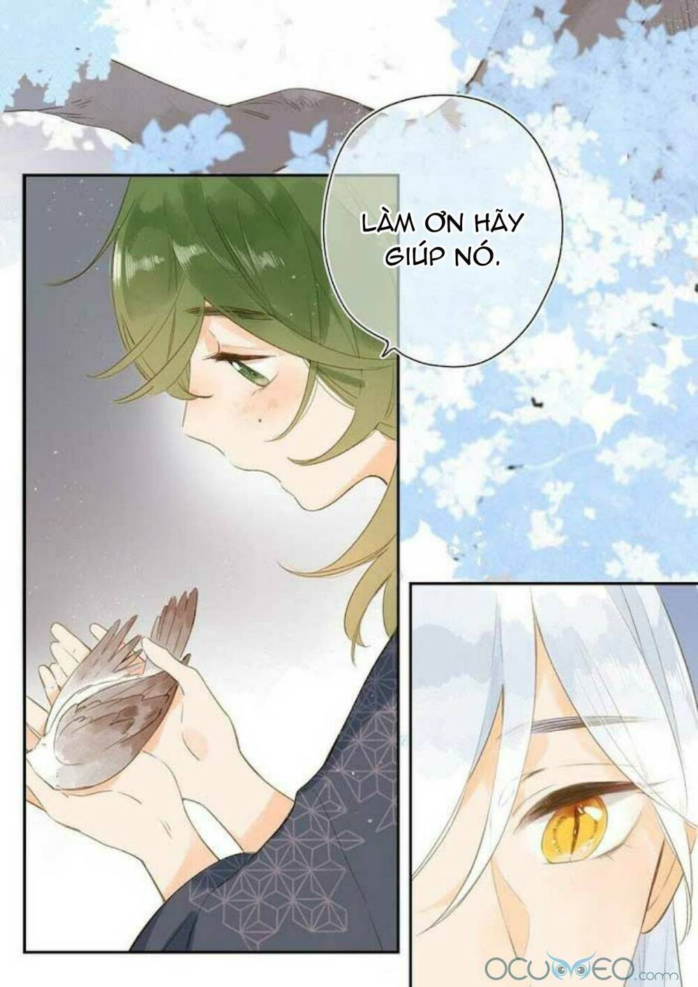 sos! tôi đã yêu một con sâu bướm (phần 2) chapter 11 35