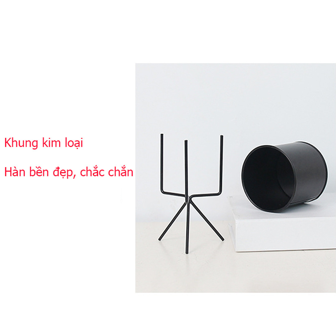 Chậu trồng cây sen đá, xương rồng, cẩm nhung – Hộp trồng cây mini để bàn