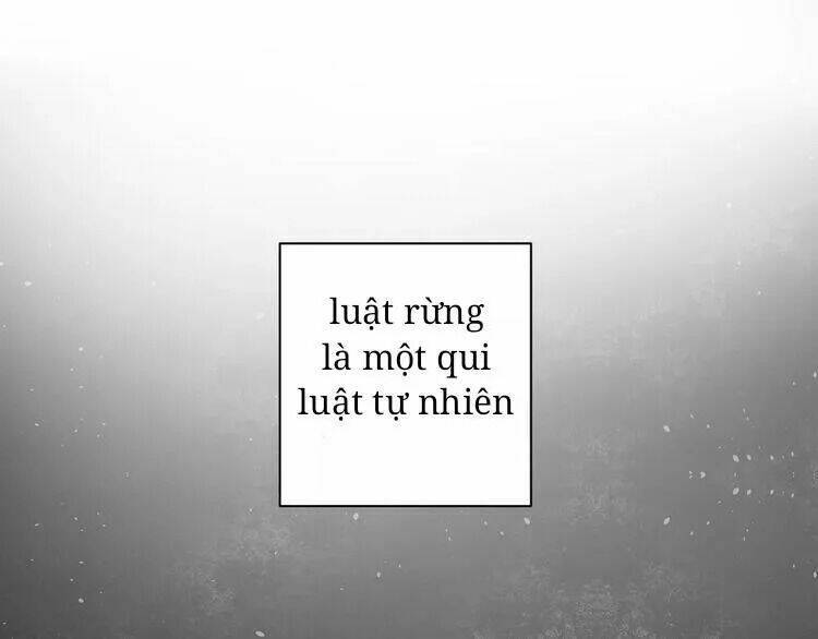 sos! tôi đã yêu một con sâu bướm (phần 2) chapter 27 32