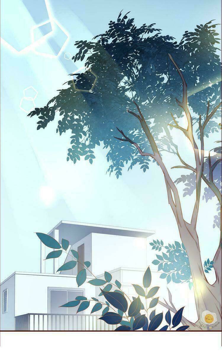 nở rộ trên bụi gai chapter 3 33