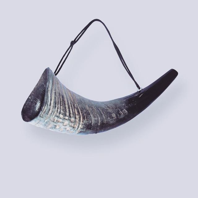 Sỉ Tù và sừng trâu thô size đại, vang cực lớn