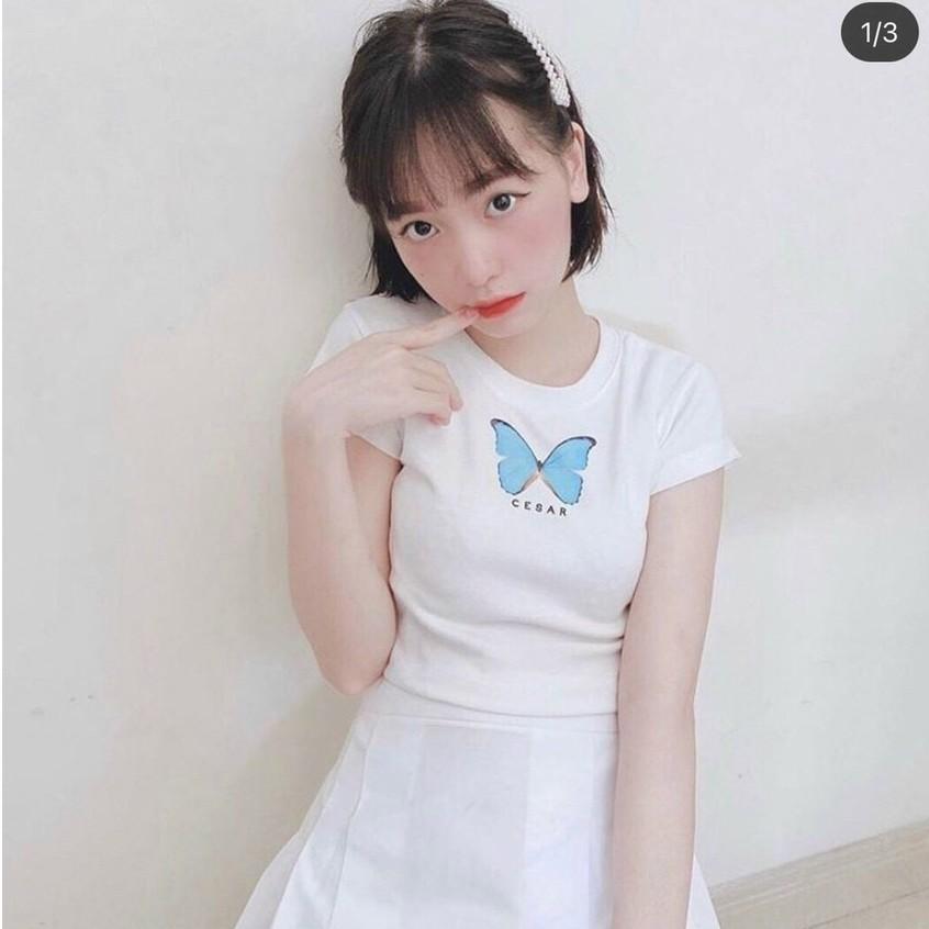 Áo Croptop Đẹp Thêu B.ướm Xinh Xắn Dễ Phối Đồ Năng Động Cá Tính | Áo Croptop Nữ Thêu Đơn Giản CT40