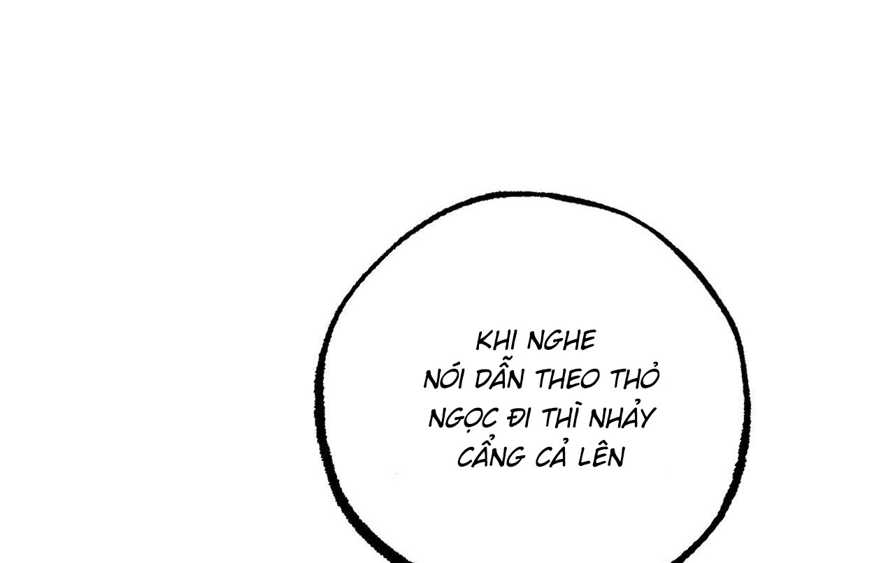 những chú thỏ của hapypy chapter 61 173