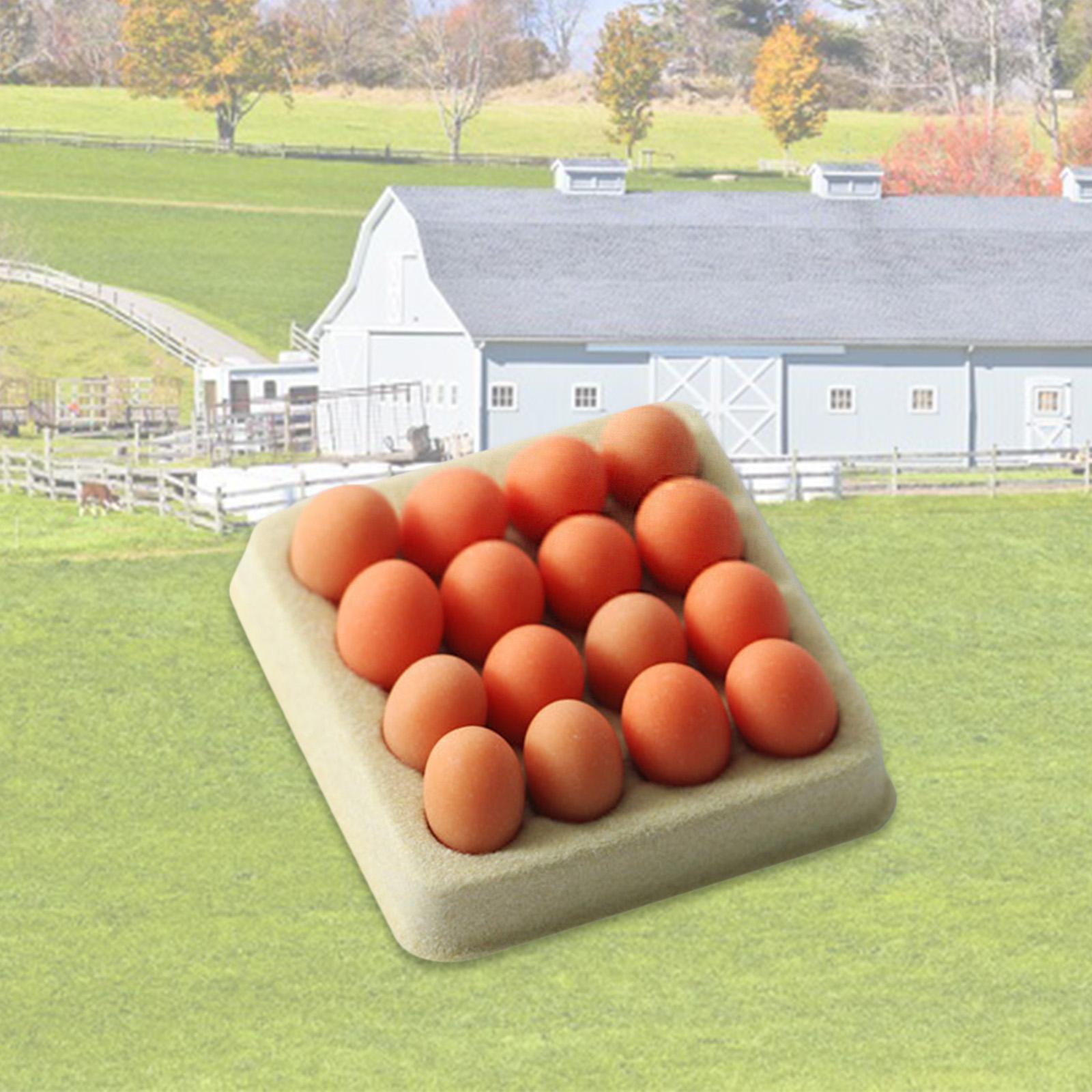 1/12 Dollhouse Miniature Eggs Children Cooking