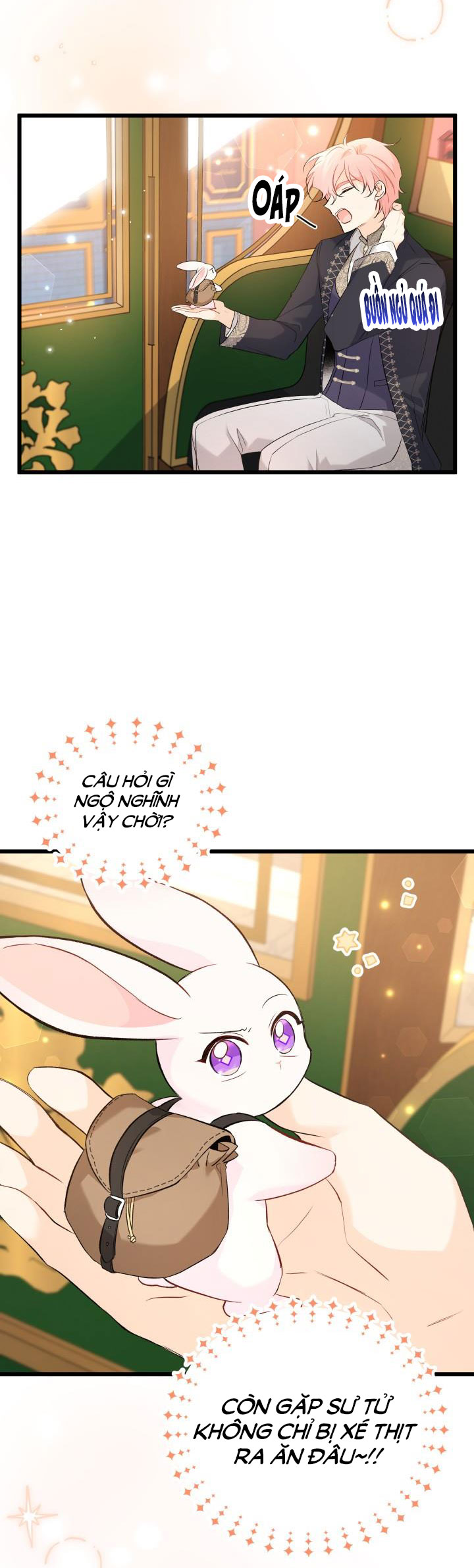 mối liên kết giữa báo đen và bé thỏ chapter 62 4