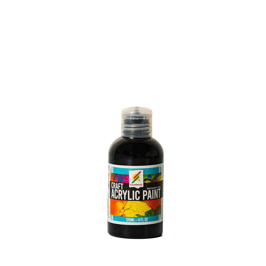 Màu vẽ Craft ACRYLIC chai 120ml - COLORMATE