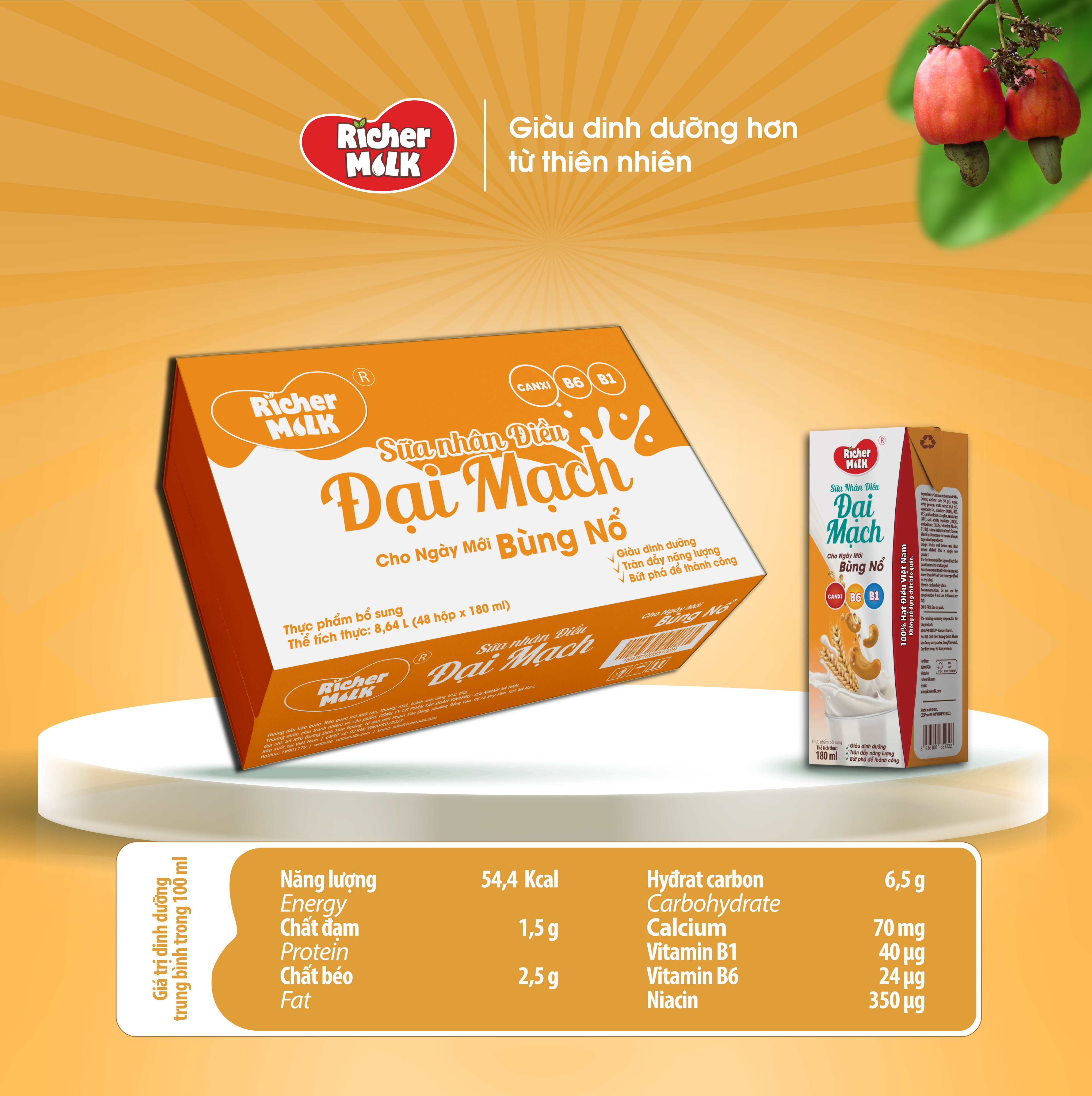 Thùng 48 hộp sữa nhân điều Đại Mạch Richer Milk 180ml