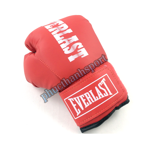 Găng đấm boxing Everlast 8oz