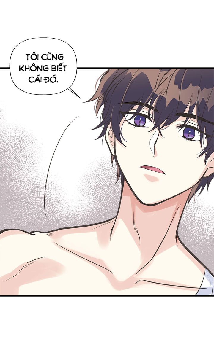 chị tôi đã nhặt về một nam chính quyến rũ chapter 13 19