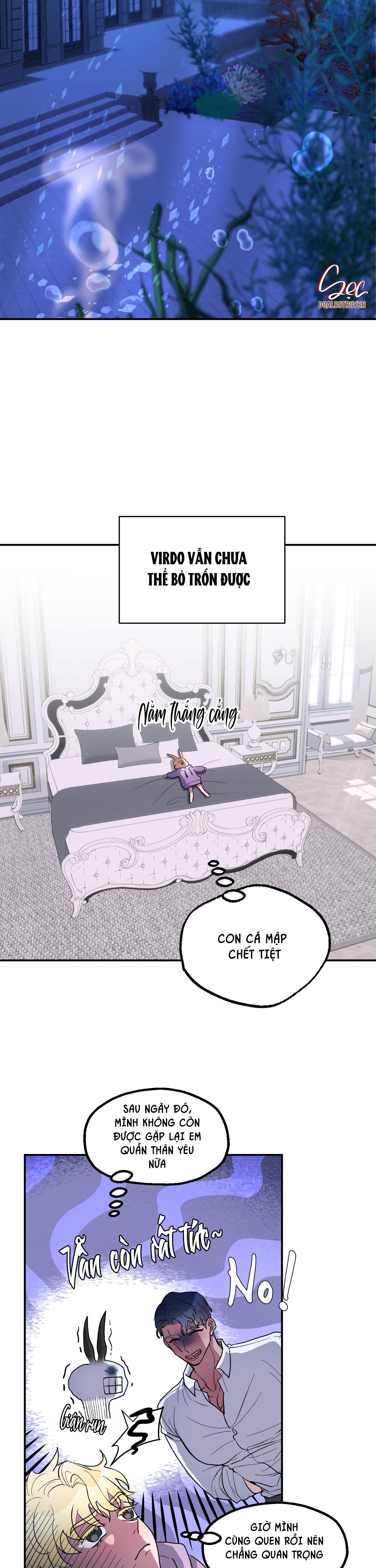 cá mập và cô dâu thỏ chapter 6 10