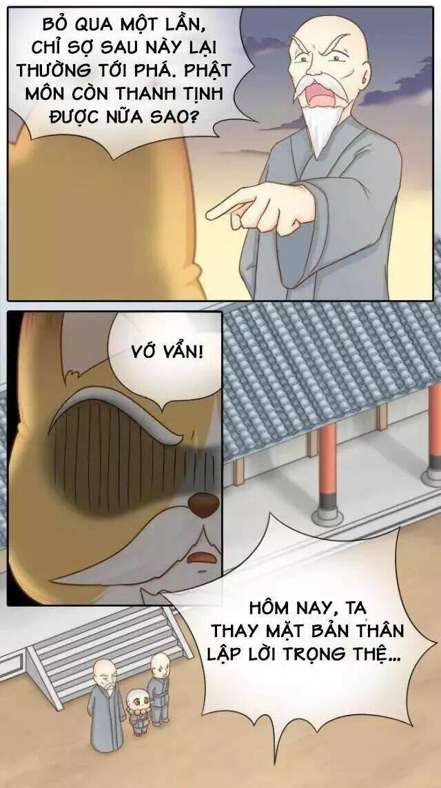 tiểu hồ ly vs tiểu hóa thượng chapter 71 25