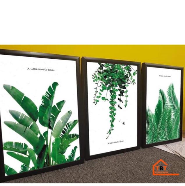Tranh treo tường Tranh CANVAS bộ 3 hoa lá kích thước 40*50