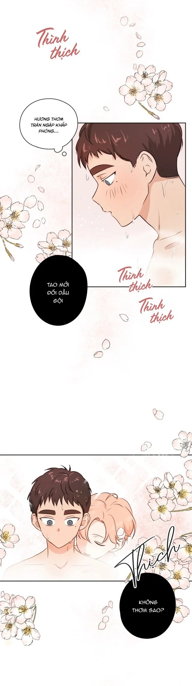 khi đào nở hoa chapter 8 20