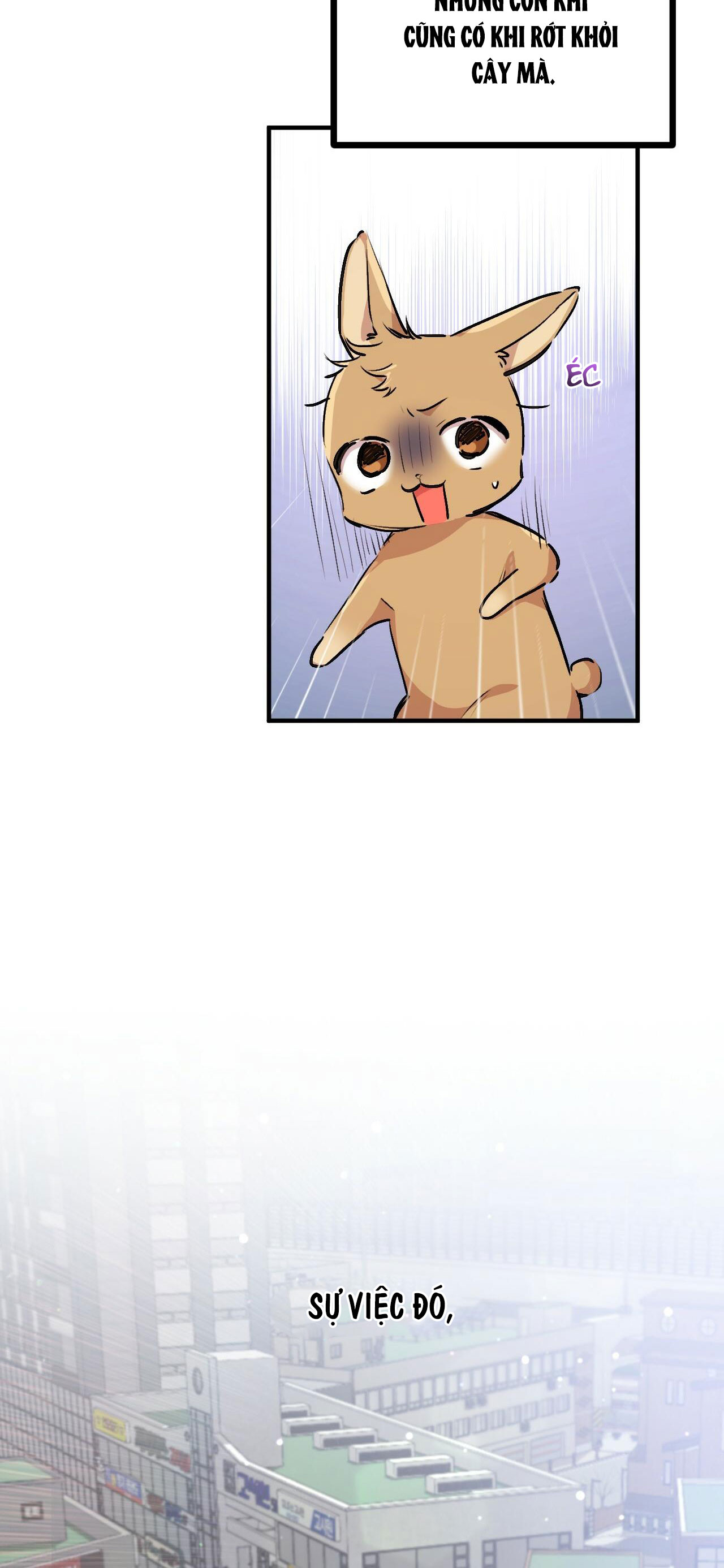 những chú thỏ của hapypy chapter 32 59